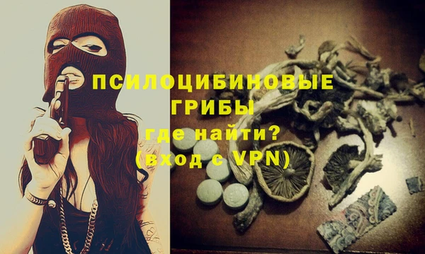 тгк Медногорск