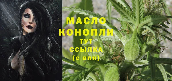 тгк Медногорск
