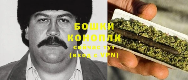 прущие крисы Мегион
