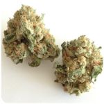 Шишки "White Widow"  (Белая вдова)  Гидропоника -  Бошка VHQ в Осе